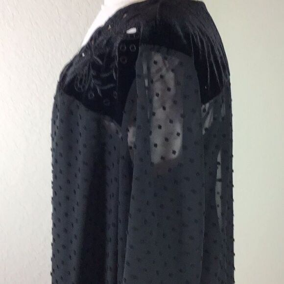 Style & Co New Top Black Velvet Yoke Swiss Dot Sheer w/ Camisole Blouse Large - Picture 4 of 13